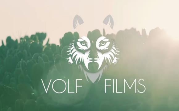 REEL VOLFFILMS